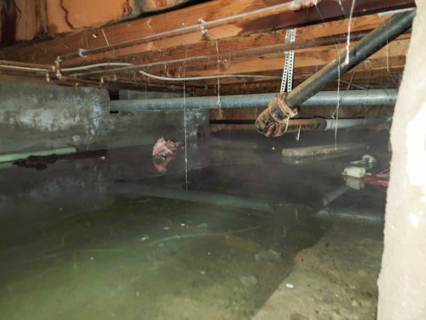  Red Lake, MN Water damage restoration Pros