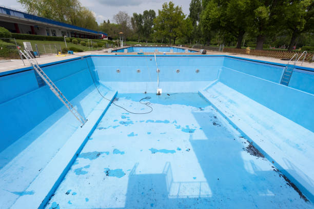 Best Mold removal after water damage  in Red Lake, MN