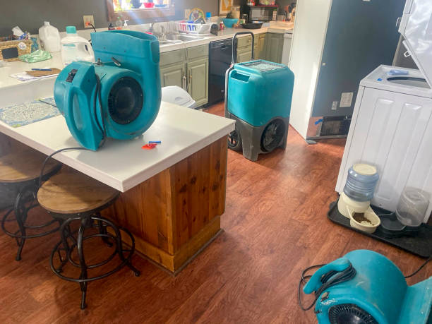 Local water damage restoration in MN