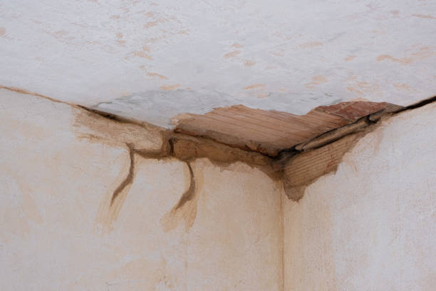 Best 24/7 water damage repair  in Red Lake, MN