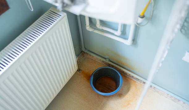 Best Professional water damage repair  in Red Lake, MN
