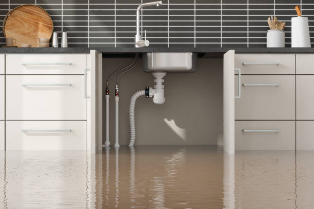 Best Carpet water damage restoration  in Red Lake, MN