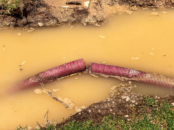 Best Water damage restoration process  in Red Lake, MN
